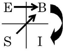 ESBIクワドラント ESBIクワドラント